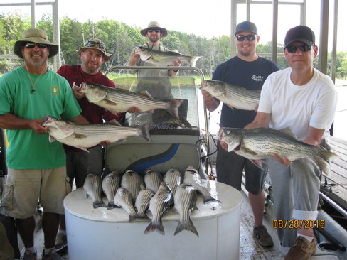 Nice Striped Bass